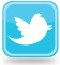 Twitter_Icon